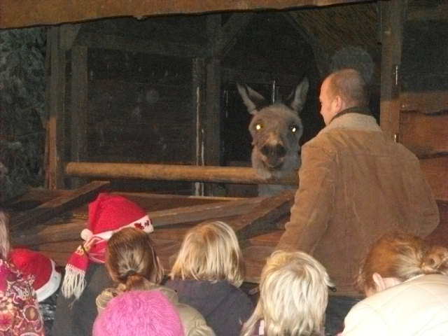 Afbeelding 009